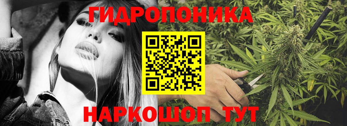 Бошки марихуана SATIVA & INDICA Карачаевск